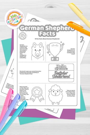 Black and white coloring pages with German shepherd facts lying on top of blue-green and purple sheets with assorted crayons on a dark grey background.